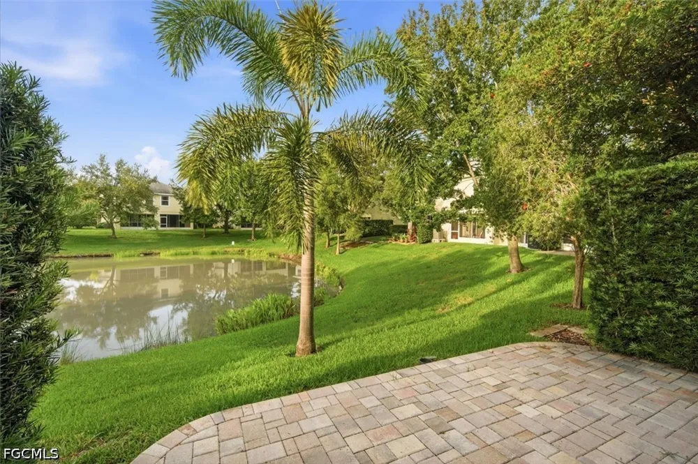 Harbor Ridge Drive Palm Harbor, FL 34683