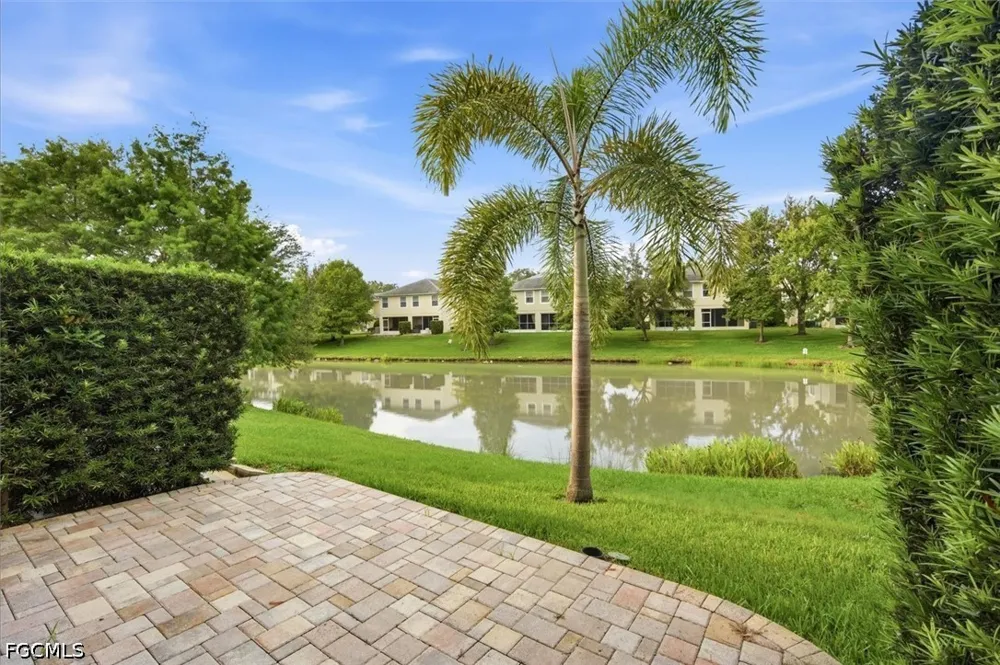 Harbor Ridge Drive Palm Harbor, FL 34683