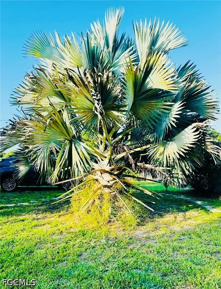 Trader Road Fort Denaud, FL 33935