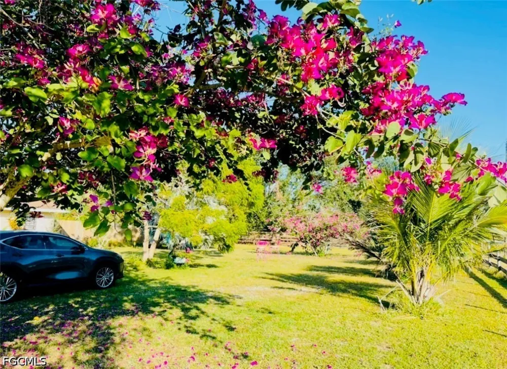 Trader Road Fort Denaud, FL 33935
