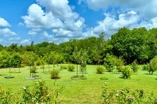 919 Harrell Road Howe, TX 75459
