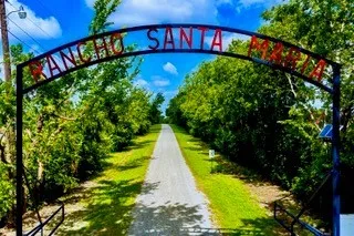 919 Harrell Road Howe, TX 75459