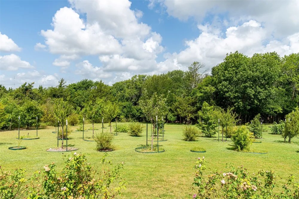 919 Harrell Road Howe, TX 75459
