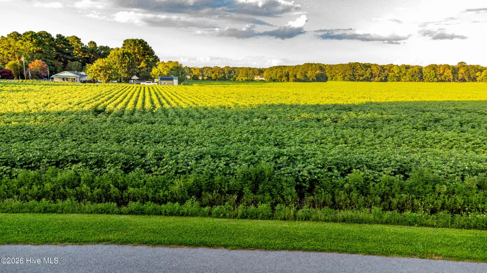 Tbd Whitehat Road Hertford, NC 27944