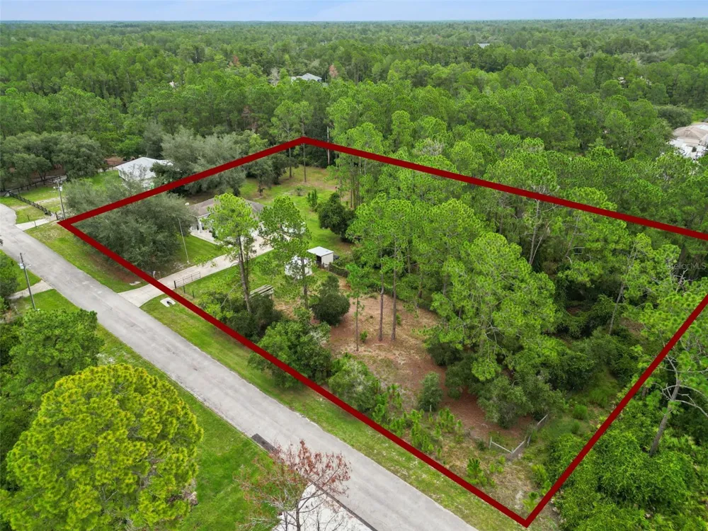 41220 ALDER WAY Eustis, FL 32736