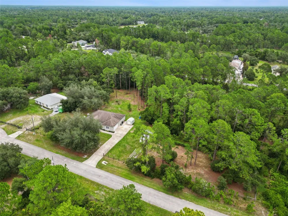 41220 ALDER WAY Eustis, FL 32736