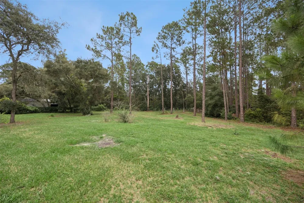 41220 ALDER WAY Eustis, FL 32736