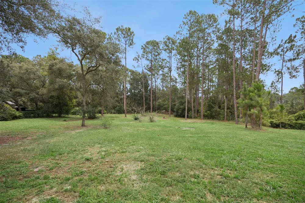 41220 ALDER WAY Eustis, FL 32736