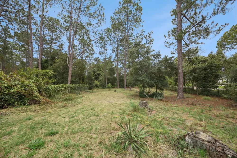 41220 ALDER WAY Eustis, FL 32736