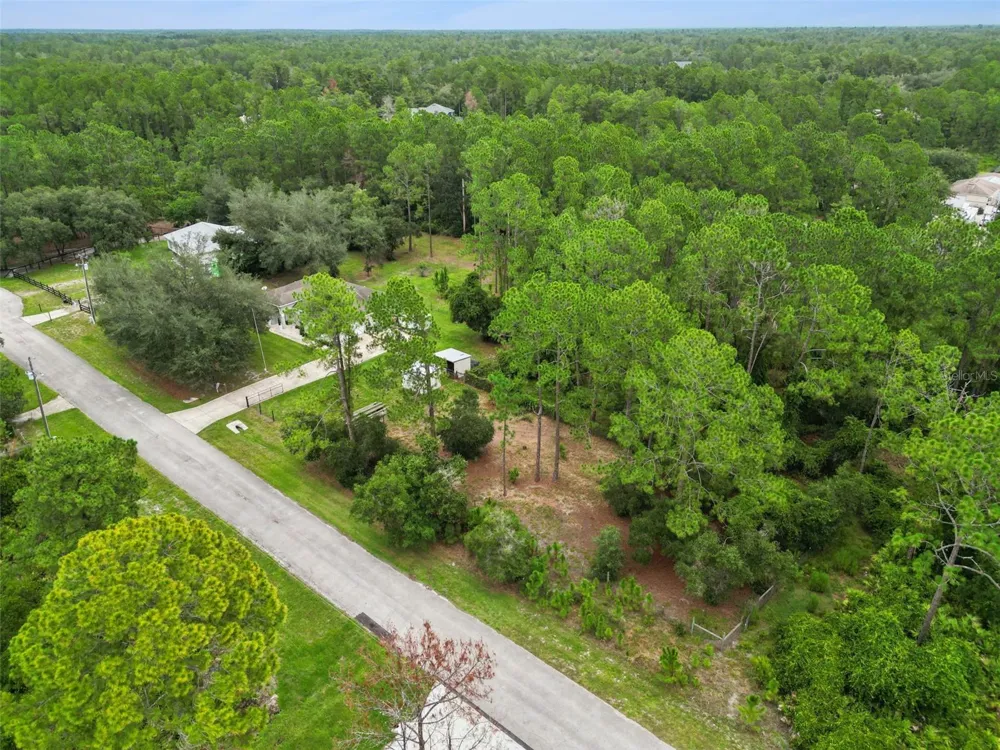 41220 ALDER WAY Eustis, FL 32736