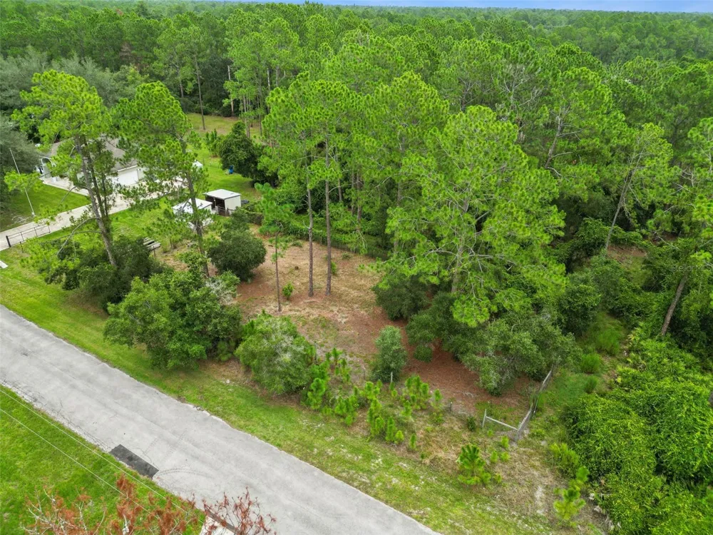 41220 ALDER WAY Eustis, FL 32736