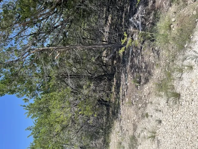 CR 2644 Lometa, TX 76853