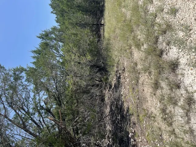 CR 2644 Lometa, TX 76853