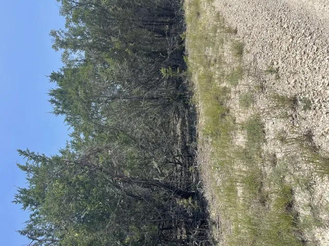 CR 2644 Lometa, TX 76853
