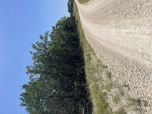 CR 2644 Lometa, TX 76853
