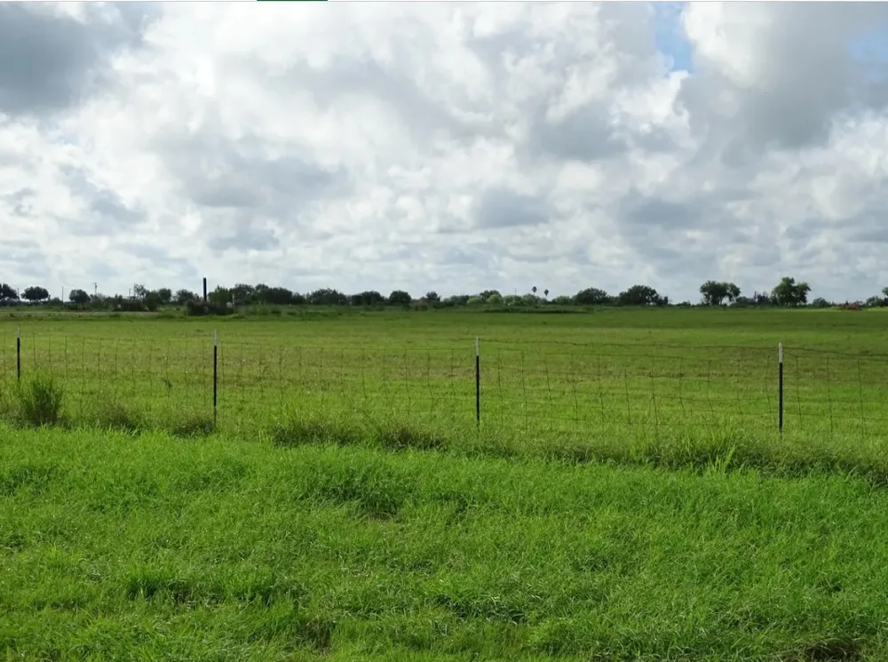 3660 E Highway 285 Highway Falfurrias, TX 78355