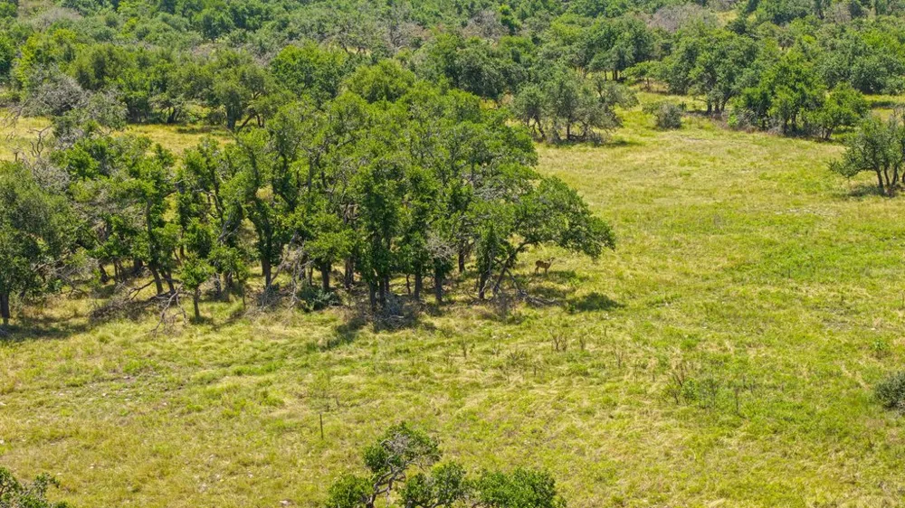 Reeh Road Fredericksburg, TX 78624