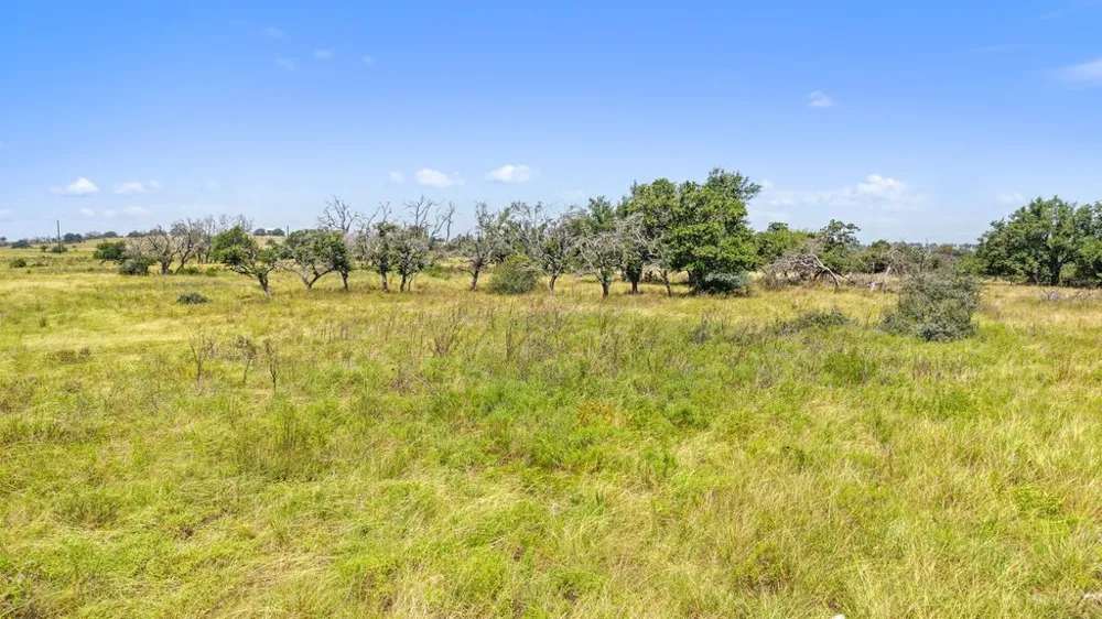 Reeh Road Fredericksburg, TX 78624