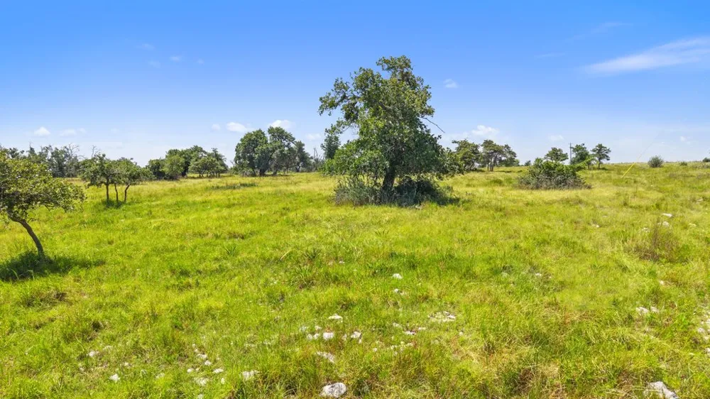 Reeh Road Fredericksburg, TX 78624
