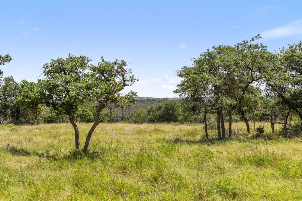 Reeh Road Fredericksburg, TX 78624