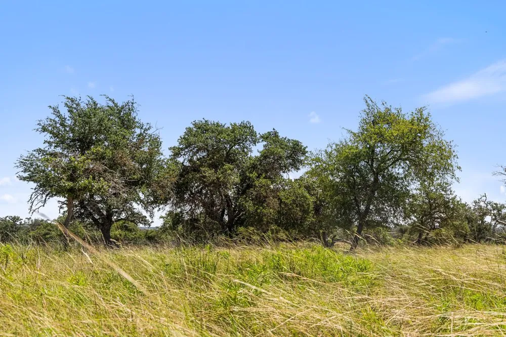 Reeh Road Fredericksburg, TX 78624