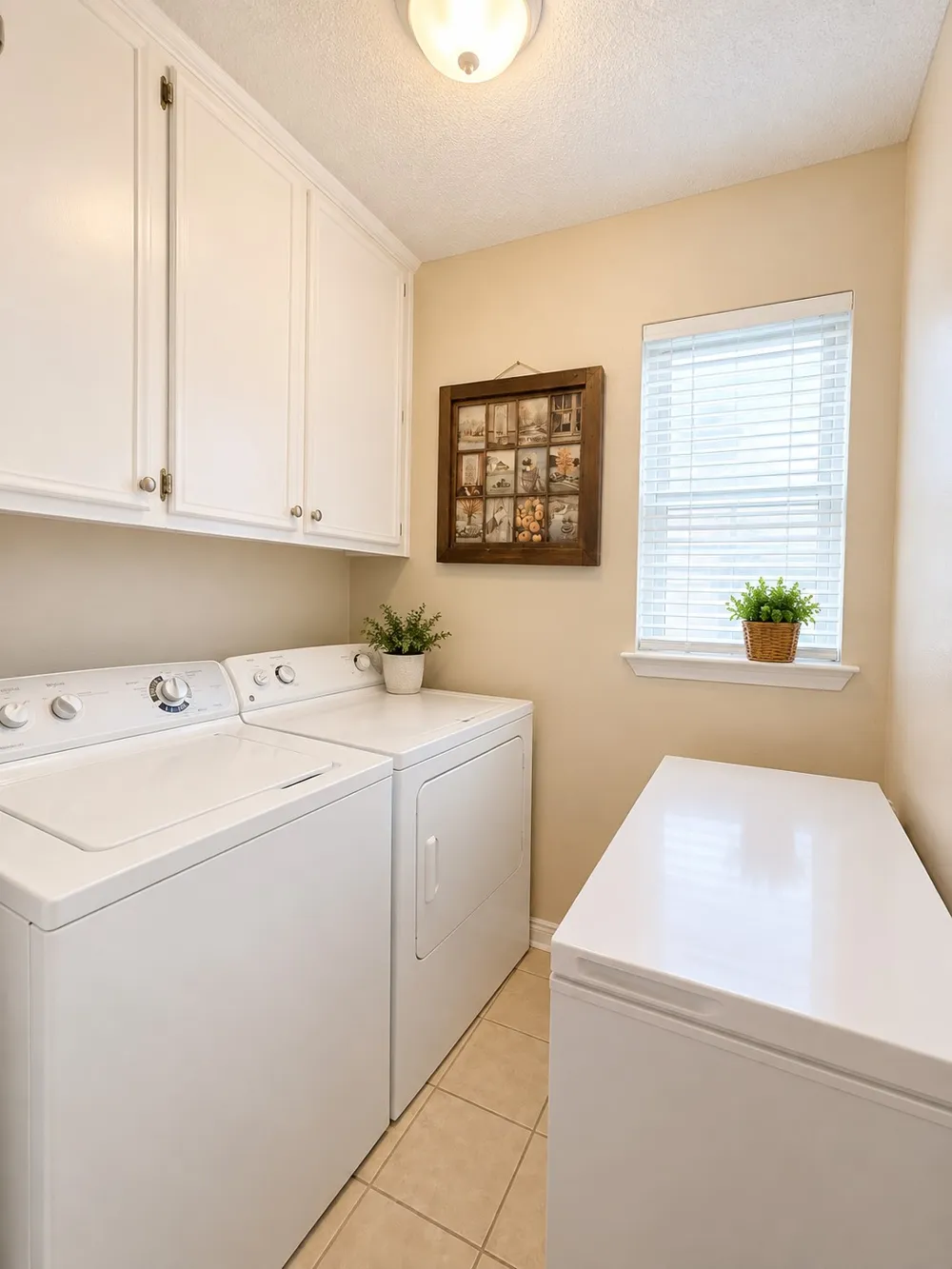 3919 Eagles Nest Street Round Rock, TX 78665