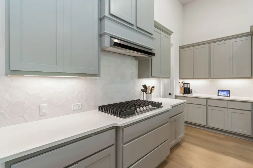 333 Knockout Rose Drive San Marcos, TX 78666