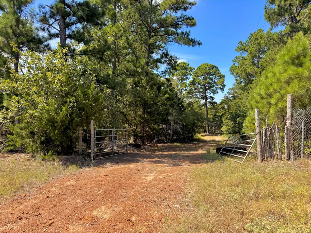 445 Pine Valley Loop Smithville, TX 78957