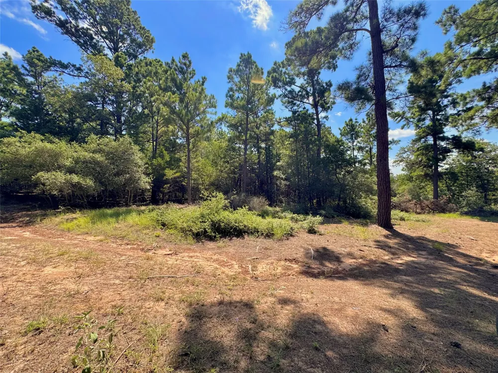 445 Pine Valley Loop Smithville, TX 78957