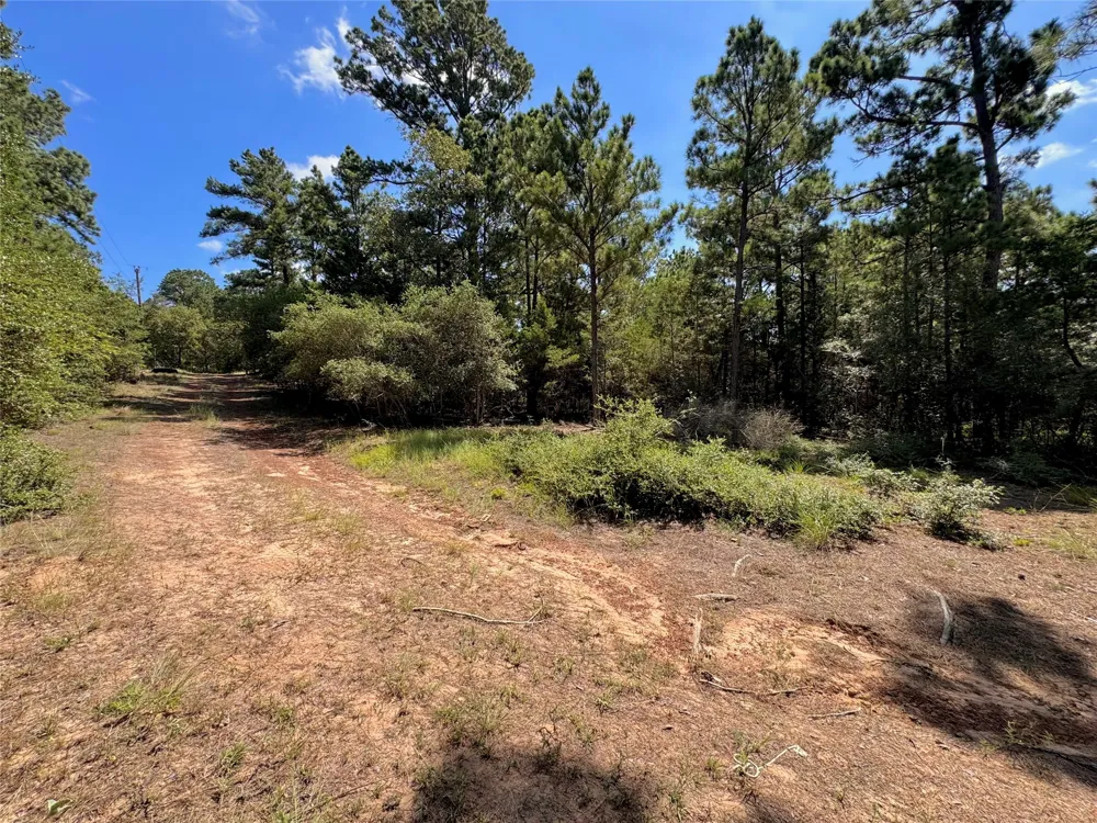445 Pine Valley Loop Smithville, TX 78957
