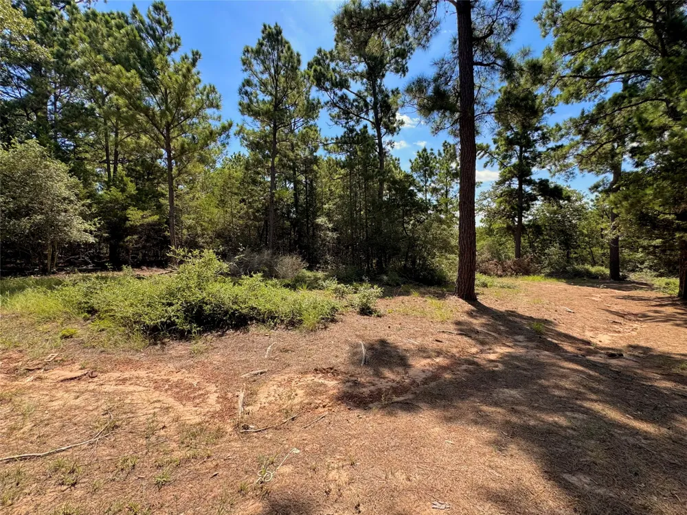 445 Pine Valley Loop Smithville, TX 78957