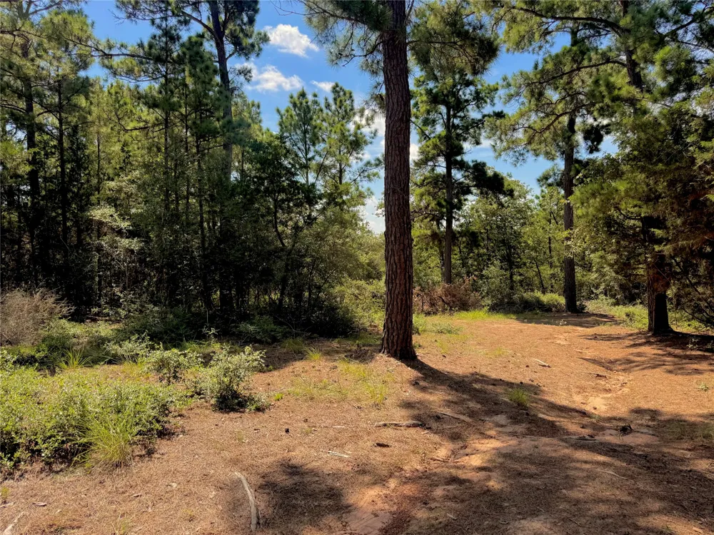 445 Pine Valley Loop Smithville, TX 78957