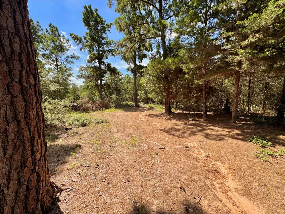 445 Pine Valley Loop Smithville, TX 78957