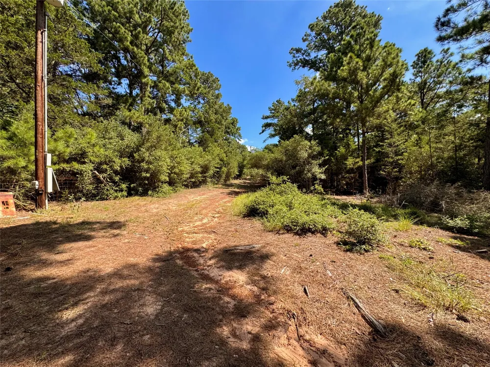 445 Pine Valley Loop Smithville, TX 78957