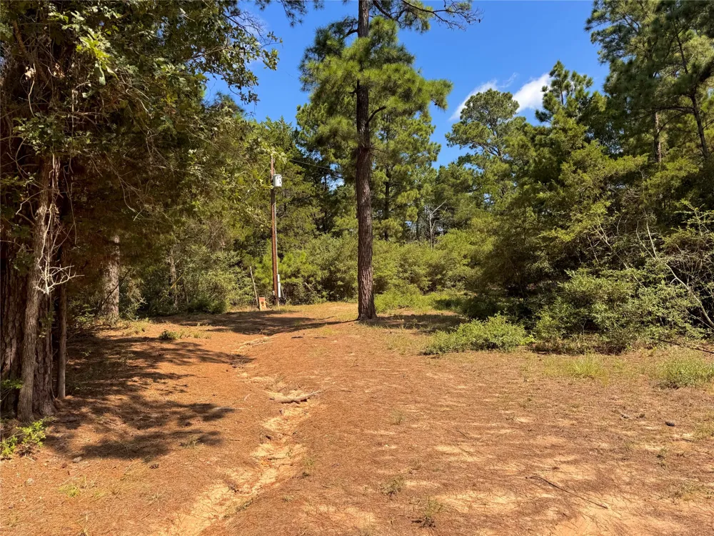 445 Pine Valley Loop Smithville, TX 78957