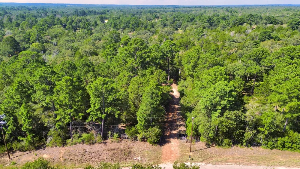 445 Pine Valley Loop Smithville, TX 78957