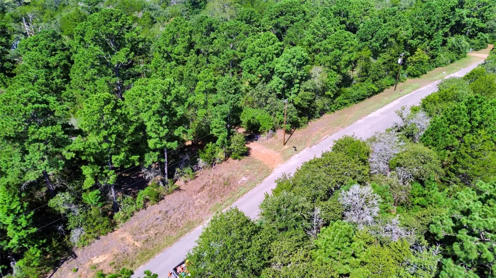 445 Pine Valley Loop Smithville, TX 78957