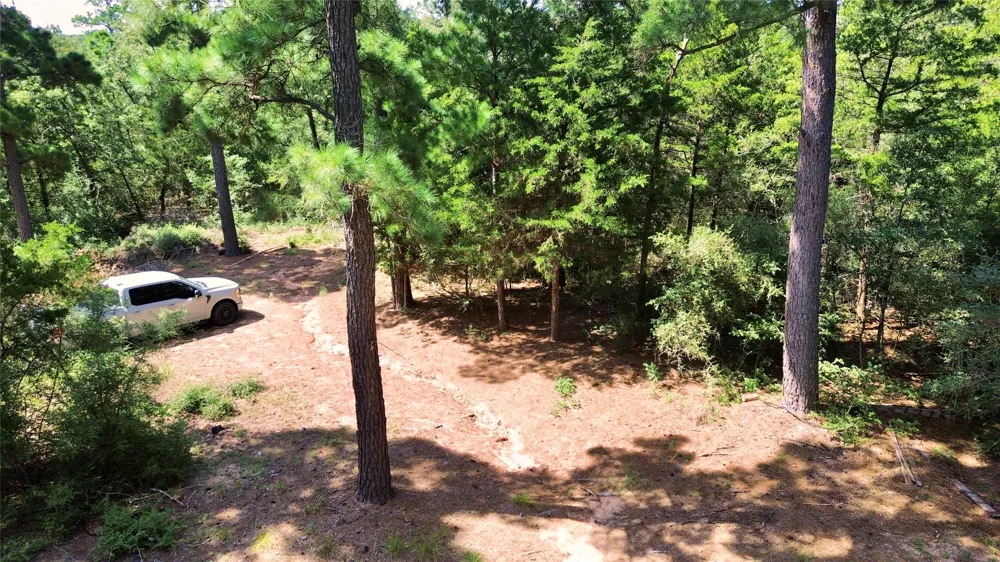 445 Pine Valley Loop Smithville, TX 78957