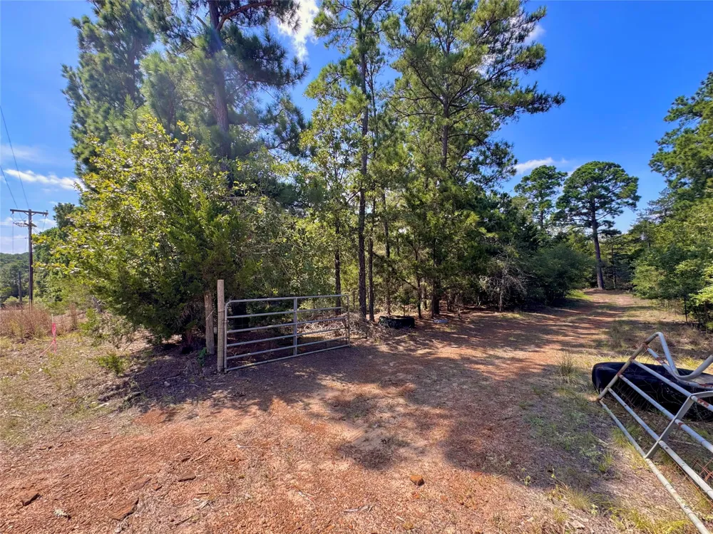 445 Pine Valley Loop Smithville, TX 78957