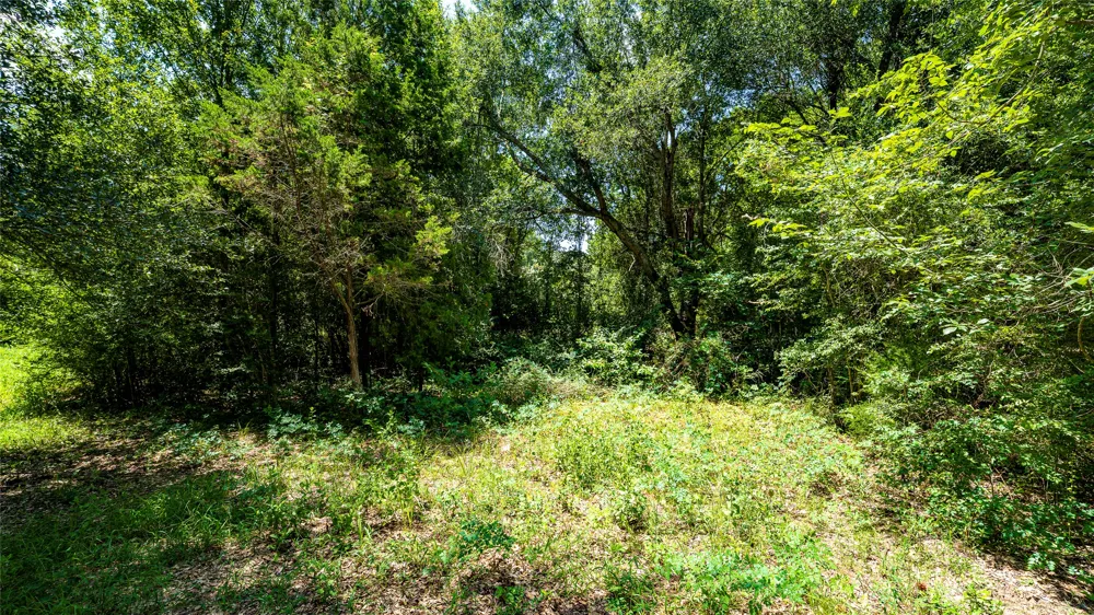 CR 357 Gause, TX 77857