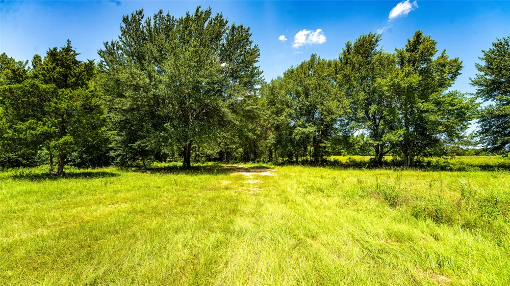 CR 357 Gause, TX 77857