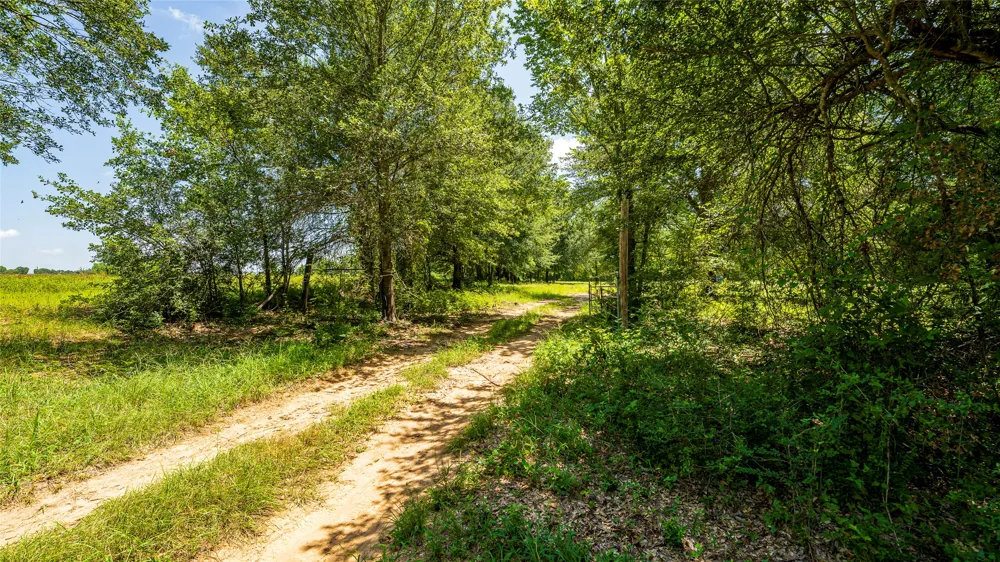 CR 357 Gause, TX 77857