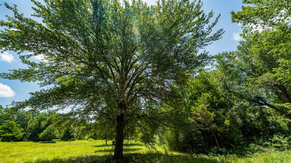 CR 357 Gause, TX 77857