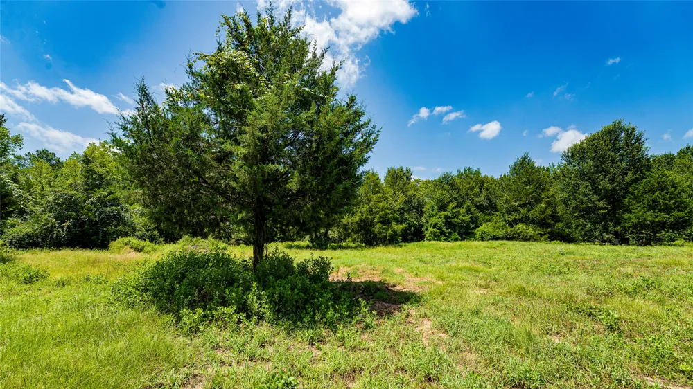 CR 357 Gause, TX 77857
