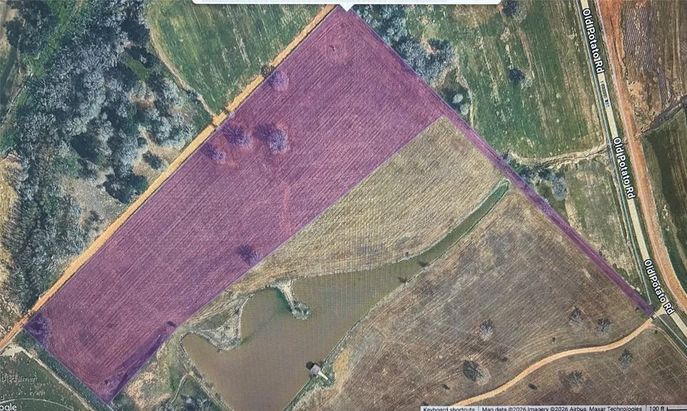Old Potato Road Paige, TX 78659