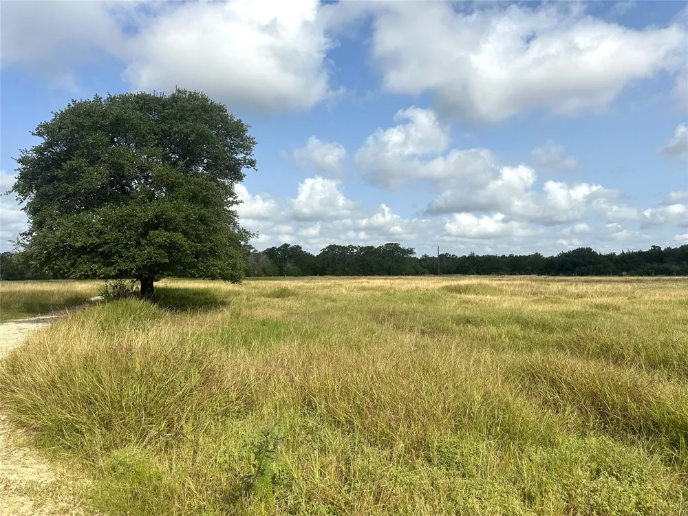 8345 Farm To Market 2145 La Grange, TX 78945