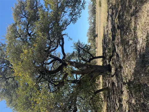 Barton Bend Lot 7 & Lot 6 Bend