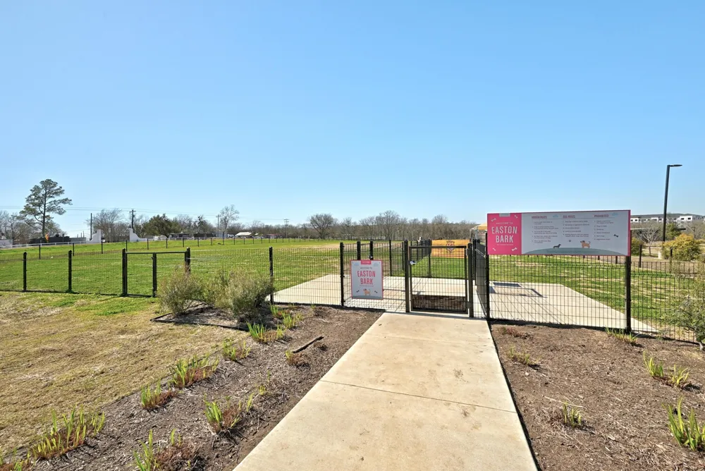 9608 Hamadryas Drive Austin, TX 78744