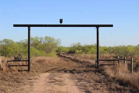 313 CR 313