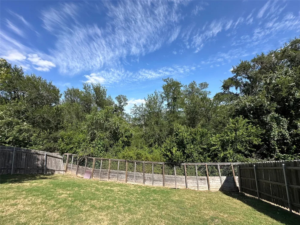 10005 Dalliance Lane Manor, TX 78653